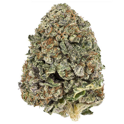 strain-bc chemo kush a