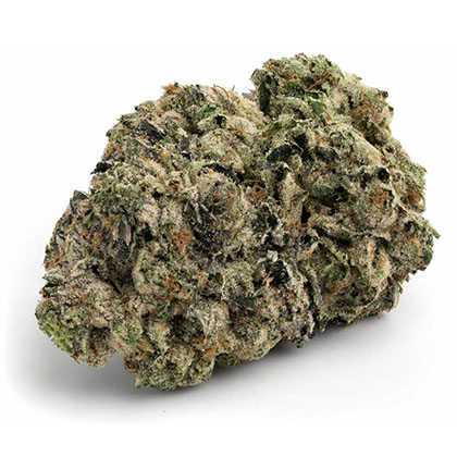 strain-black tuna a