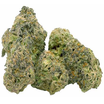 strain-hippie haze a