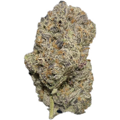 strain-apes in space a
