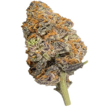 strain-cadillac rainbows a
