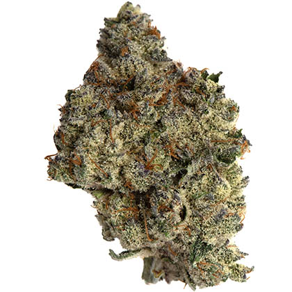 strain-cake city a