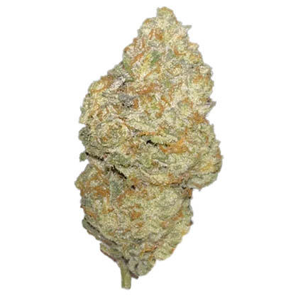 strain-kool grapes a