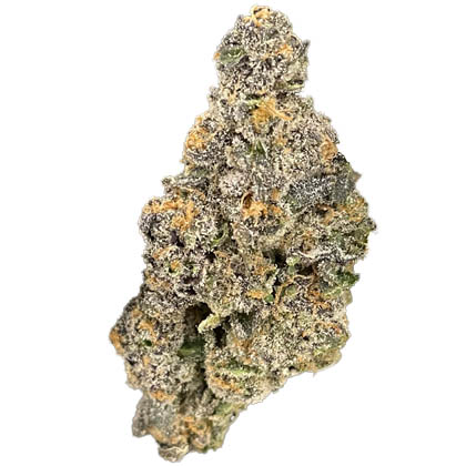 strain-london zoap a